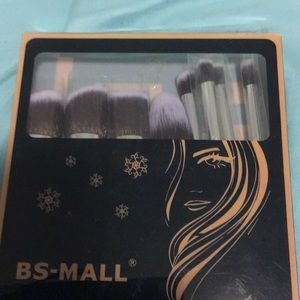 Professional makeup brush collection
